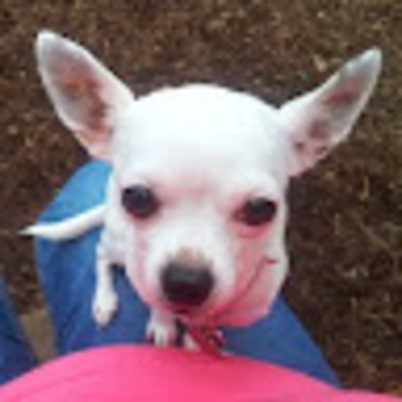 Meet your Posher, Amanda - Picture 1 of 1